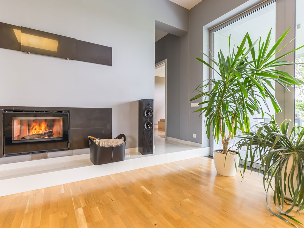 Read more about the article Green view design