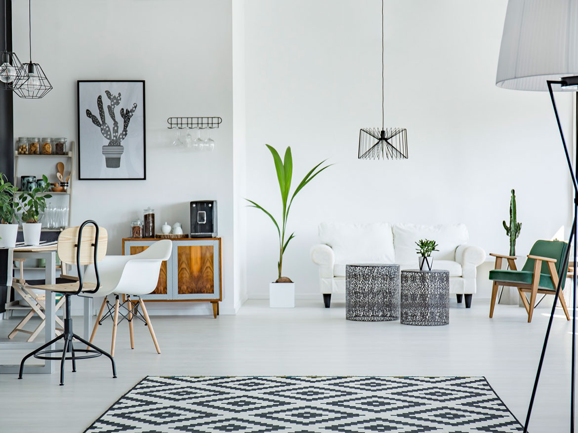 Read more about the article Renovated studio